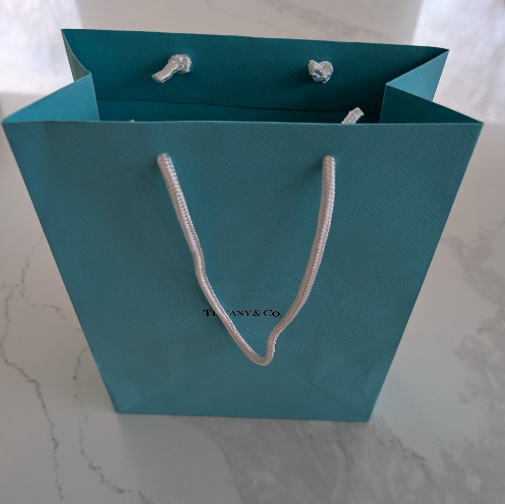 Tiffany & Co. Blue Gift Bag